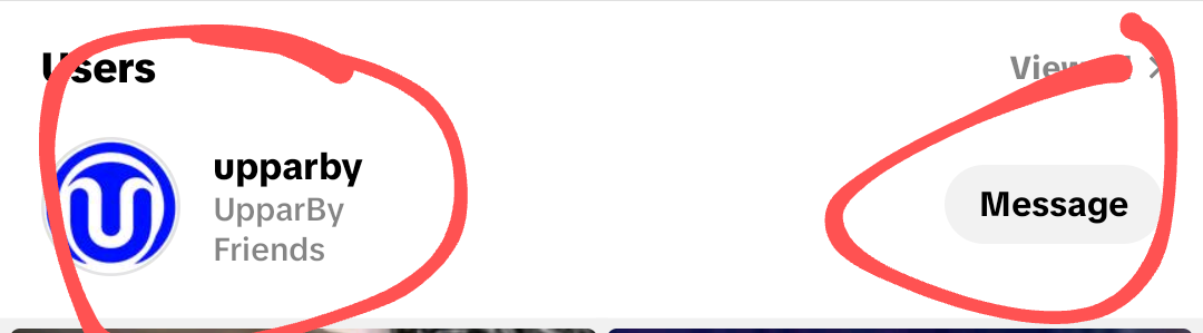 TikTok ID Follower
